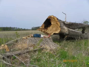 [Hearth.com] Before the chainsaw....