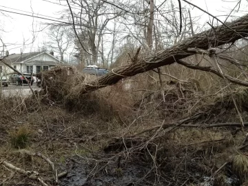 [Hearth.com] Couldn't drive past this anymore!