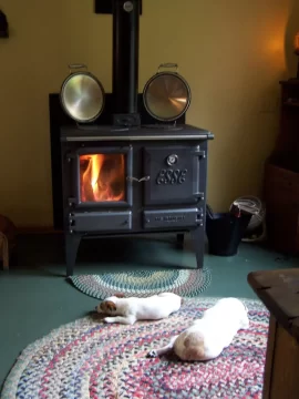 [Hearth.com] Your pup enjoying the stove or insert.