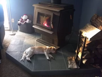 [Hearth.com] Your pup enjoying the stove or insert.