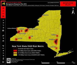 [Hearth.com] anyone else have an over abundance of ash due to EAB?