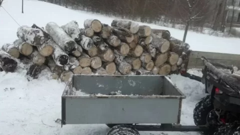 [Hearth.com] Free firewood score, how to get it out ??