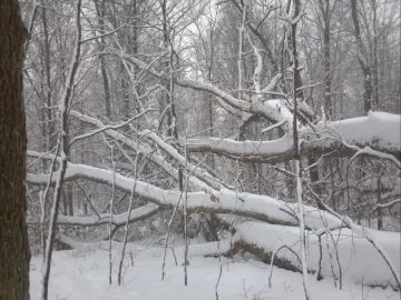 [Hearth.com] Another blast of snow on it's way.....