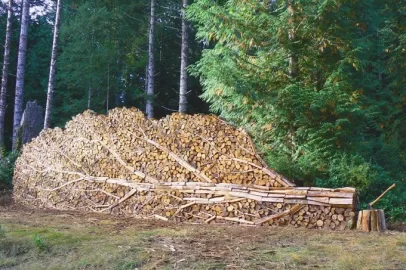 [Hearth.com] Cool stacks of firewood....