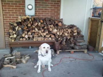 [Hearth.com] got a load stacked up and ready to burn