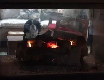 [Hearth.com] Your pup enjoying the stove or insert.