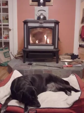 [Hearth.com] Your pup enjoying the stove or insert.