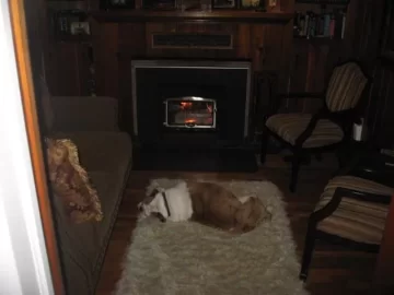 [Hearth.com] Your pup enjoying the stove or insert.