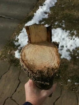 [Hearth.com] How much wood, would a wood chuck chuck if...... (Id Please)