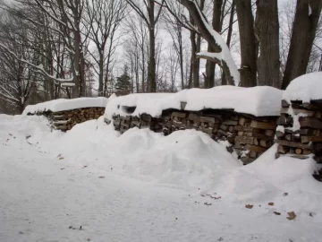 [Hearth.com] The value of covering wood piles