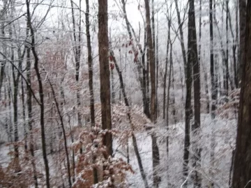 [Hearth.com] It even snows in Alabama