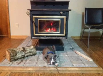 [Hearth.com] Your pup enjoying the stove or insert.