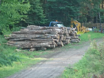 [Hearth.com] Heart Attack Victim last March 14TH Stacks Cord of wood in 6 hours