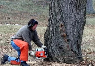 [Hearth.com] My Stihl MS660... BEAST!!!