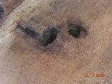 [Hearth.com] Red Oak Hole Question