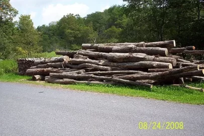 [Hearth.com] wood shed progress, triaxle load, split stacks (pics)