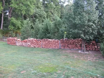 [Hearth.com] Identifying downed wood?