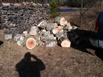 [Hearth.com] Red oak score!