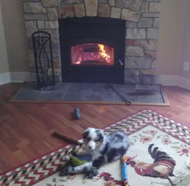 [Hearth.com] Your pup enjoying the stove or insert.