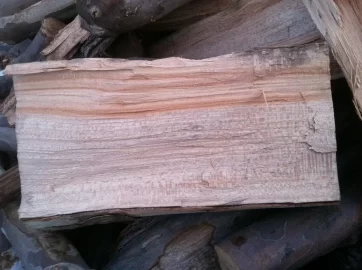 [Hearth.com] what kind of wood ?