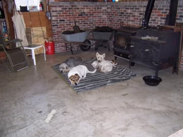 [Hearth.com] Your pup enjoying the stove or insert.