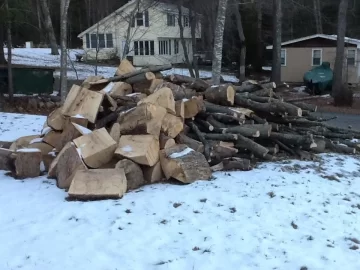 [Hearth.com] Red oak score!