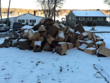 [Hearth.com] Red oak score!