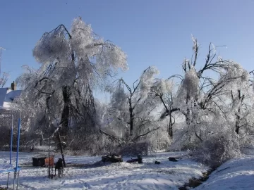 [Hearth.com] Speaking of snowstorm - show us a pic of some of the worst!