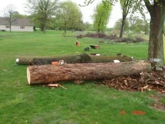 [Hearth.com] Cut a few Hickory on the farm last week