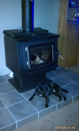 [Hearth.com] Your pup enjoying the stove or insert.