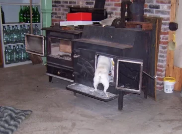 [Hearth.com] Your pup enjoying the stove or insert.