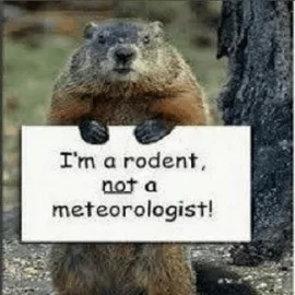 [Hearth.com] Ground Hog Day??