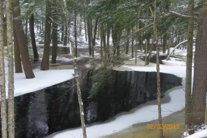 [Hearth.com] The Brook