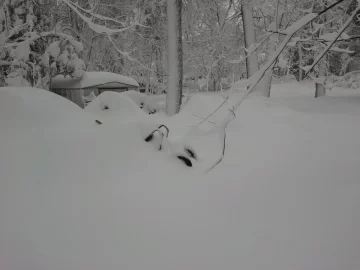 [Hearth.com] Documenting Blizzard Feb-2013 in photos