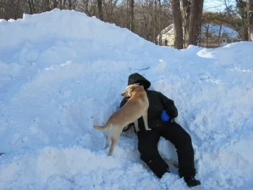 [Hearth.com] Documenting Blizzard Feb-2013 in photos