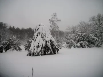 [Hearth.com] Documenting Blizzard Feb-2013 in photos