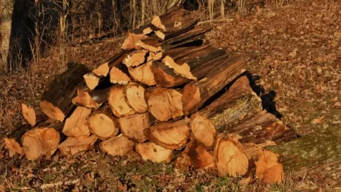 [Hearth.com] A Touch of Old Red Oak