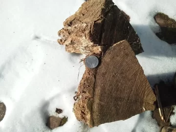 [Hearth.com] Took more pics of my mystery wood