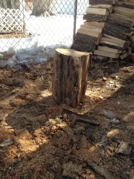 [Hearth.com] Split and Stacked a little today.