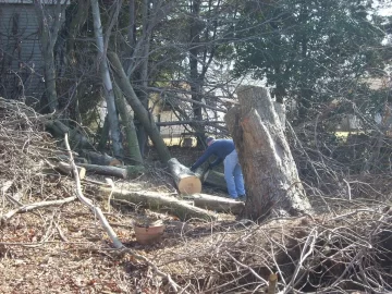 [Hearth.com] Maple process day from the Jersey shore!