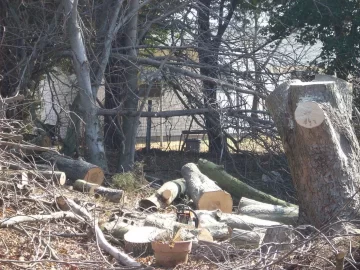 [Hearth.com] Maple process day from the Jersey shore!