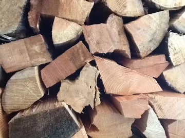 [Hearth.com] Should I burn this wood?