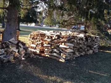 [Hearth.com] Box elder good to burn?