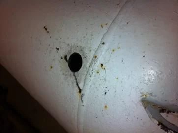 [Hearth.com] When you dont notice an unplugged hole in bottom of tank...