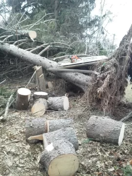 [Hearth.com] Sandy cleanup continues