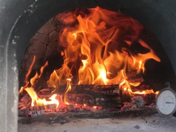 [Hearth.com] Wood fired oven - another rustic chicken pot pie.