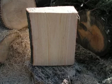 [Hearth.com] The log that wouldn't Split