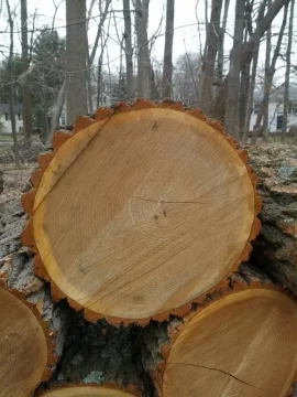 [Hearth.com] Not sure what this is.. wood id please