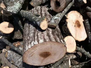 [Hearth.com] I say black locust. Wood ID please! ;)