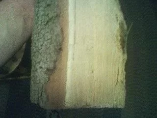 [Hearth.com] I say black locust. Wood ID please! ;)